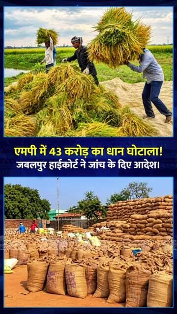 MP में ₹43 करोड़ का धान परिवहन घोटाला?
