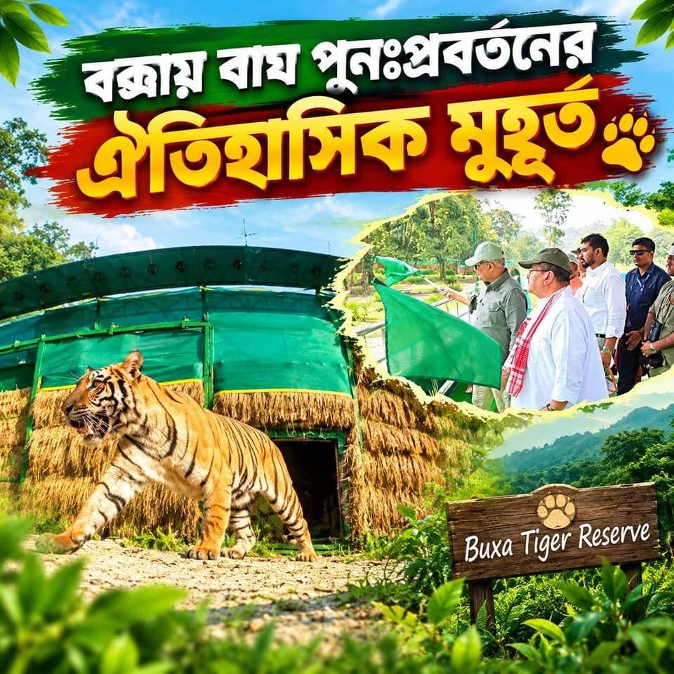 ঐতিহাসিক মুহূর্ত, বক্সার জঙ্গলে বাঘ (Royal Bengal Tiger) পুনঃপ্রবর্তন। বিহারের বাঘিনীকে স্বাগত জানালেন রাজ্যের মুখ্যমন্ত্রী শুভেন্দু অধিকারী।
#TigerConservation #Buxa #tigresses #alipurduardistrict Manoj Kumar Oraon Suvendu Adhikari #highlightseveryone