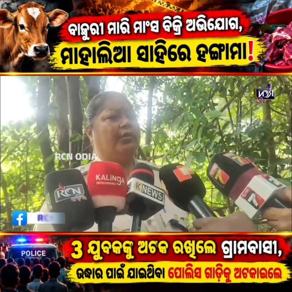 🚨 ବାଛୁରୀ ମାଂସ ବିକ୍ରି ଅଭିଯୋଗକୁ ନେଇ ଗାଁରେ ଉତ୍ତେଜନା! 😱
ବାଲେଶ୍ୱର ଜିଲ୍ଲା ଔପଦା ଥାନା ଅଞ୍ଚଳର ମାହାଲିଆ ସାହିରେ ଚାଞ୍ଚଲ୍ୟ। ୩ ଯୁବକଙ୍କୁ ଗ୍ରାମବାସୀ ଅଟକ ରଖିଥିବା ଅଭିଯୋଗ, ଉଦ୍ଧାର ପାଇଁ ଯାଇଥିବା ପୋଲିସ ଗାଡ଼ିକୁ ମଧ୍ୟ ଅଟକାଇଥିବା ସୂଚନା। 🚔
ଘଟଣାକୁ ନେଇ ଅଞ୍ଚଳରେ ତୀବ୍ର ଉତ୍ତେଜନା। ପୂରା ଘଟଣା ଜାଣିବା ପାଇଁ ଭିଡିଓ ଦେଖନ୍ତୁ। 👇
⚠️ ଘଟଣା ସମ୍ପର୍କିତ ଅଭିଯୋଗର ସତ୍ୟତା ତଦନ୍ତ ପରେ ସ୍ପଷ୍ଟ ହେବ।
#RCNODIA #BreakingNews #OdishaNews #Balasore #Oupada #ViralNews #CrimeNews #ଓଡ଼ିଶାଖବର #ବାଲେଶ୍ୱର #ସାଧାରଣଲୋକଙ୍କସ୍ୱର