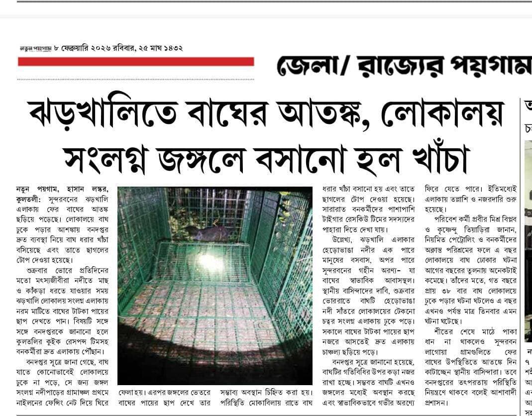 বাঘ ধরতে ছাগলের টোপ দিয়ে পাতা হলো খাঁচা।
