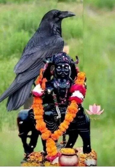 जय शनिदेव महाराज