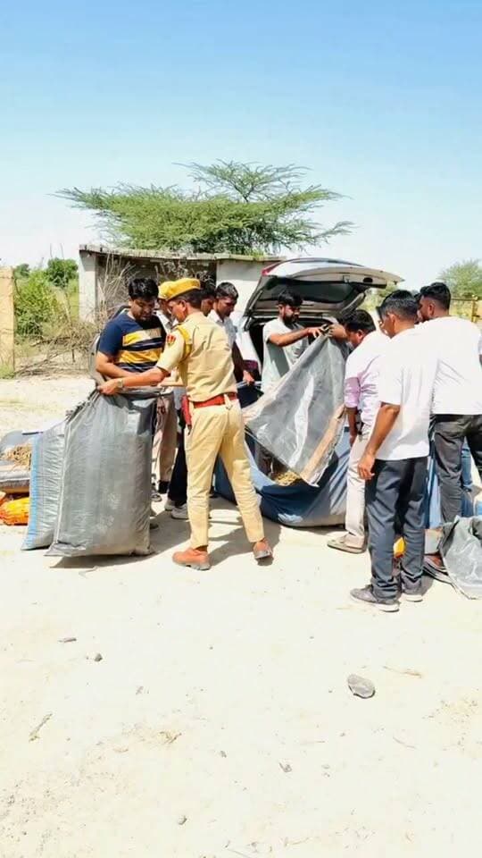 नागाणा पुलिस व ANTF टीम की बड़ी कार्यवाही, 2 क्विंटल 48 किलो अवैध डोडा पोस्ट बरामद ।
Barmer Police Balotra Police Rajasthan Police