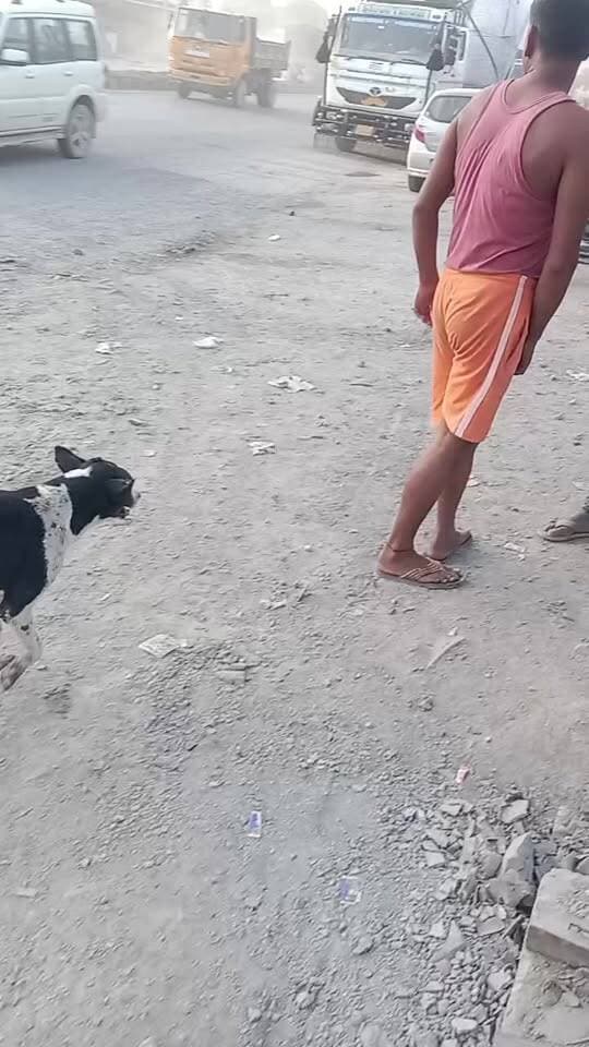 सोनभद्र मे चलने वाले हाइवा ट्रेलर निर्दोष लोगों की जान ले ले रहे है लेकिन उनपर प्रशासन का कंट्रोल नही हो पा रहा है कल हाइवा एक आल्टो को पीछे से धक्का मारकर खिंचता रहा ब्रेक नही लगा रहा क्योंकि उसको कुछ पैसा देना पड्ता उसके लिये किसी की जान कि कोई value नही है जान चली जाय लेकिन वो ब्रेक नही लगाएगा क्योंकि उसको कुछ मुआवजा देना पड़ेगा l
#cmyogiji
#dmsonebhdra
#spsonebhdra
#cobra
#shoobra
#chopanobra
#dallachauki