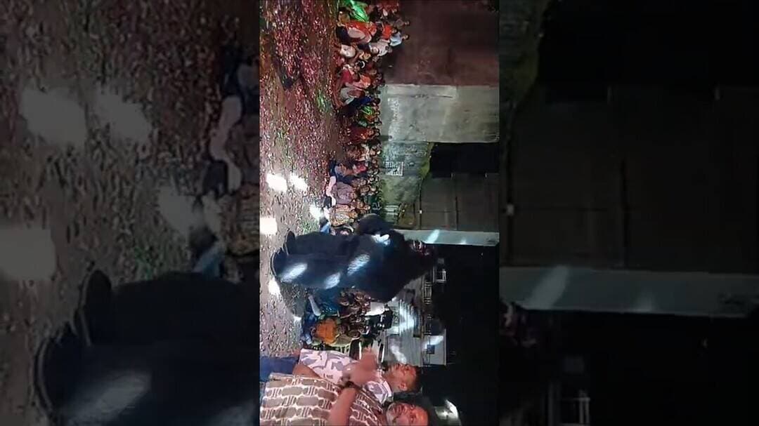 🚩 कोरबा में सजा मां का भव्य दरबार, आकर्षक झांकियों और धार्मिक कार्यक्रमों ने बांधा समां#