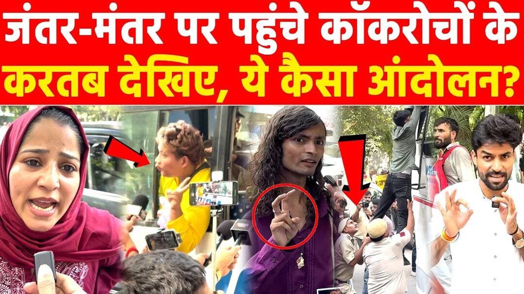 जंतर-मंतर पहुंचे कॉकरोचों के करतब देखिए, ये कैसा आंदोलन? #khabarindia