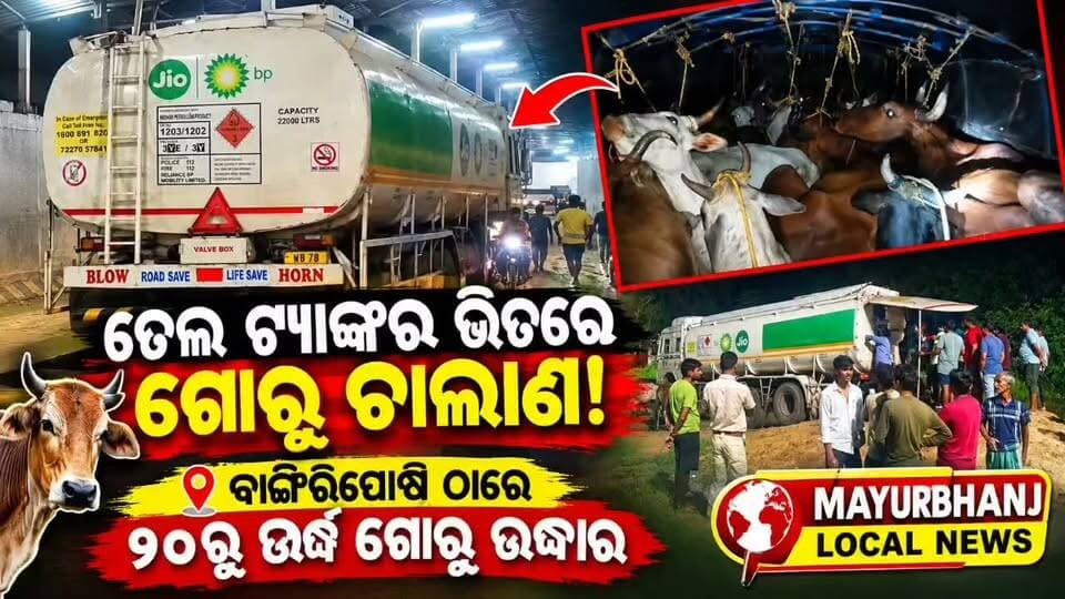 #ତେଲ ଟ୍ୟାଙ୍କର ଭିତରେ ଗୋରୁ ଚାଲାଣ!....
#ବାଙ୍ଗିରିପୋଷି ଠାରେ ୨୦ରୁ ଊର୍ଦ୍ଧ୍ୱ ଗୋରୁ ଉଦ୍ଧାର....
#Mayurbhanj
#baripada