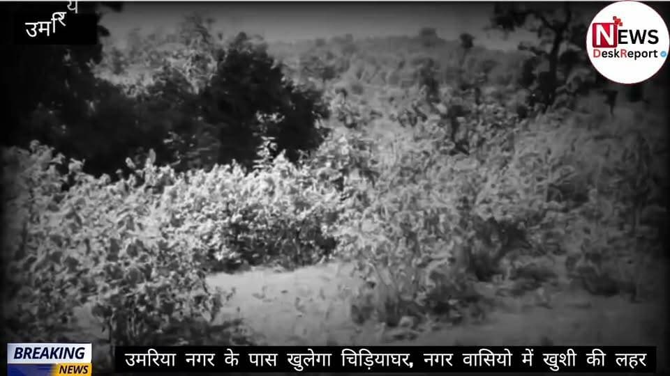 उमरिया में बनेगा चिड़ियाघर.