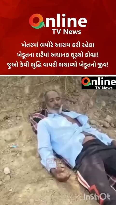 બપોરે ખેતરમાં આરામ કરી રહેલા ખેડૂતના શર્ટમાં કોબ્રા સાપ ખુશી જતા અફડાતફડી@ONLINETVNEWS1