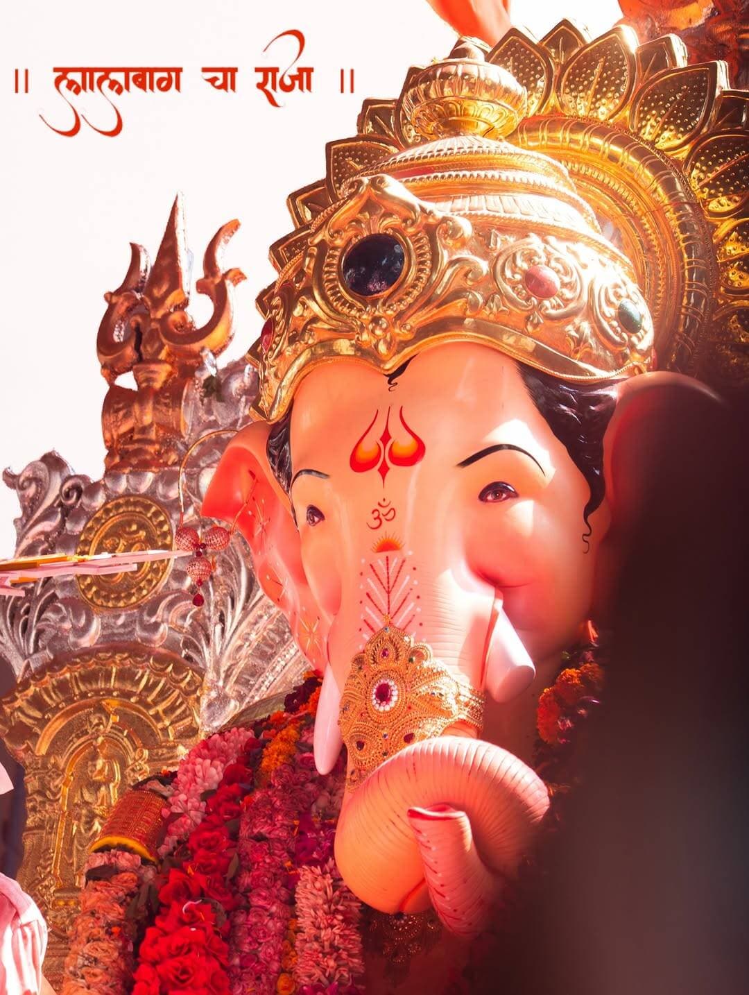 राजा ♥️
.
.
Follow for more content- @aniruddhsinh.06
.
.
<nis:link nis:type=tag nis:id=lalbaugcharaja nis:value=lalbaugcharaja nis:enabled=true nis:link/> <nis:link nis:type=tag nis:id=visarjan nis:value=visarjan nis:enabled=true nis:link/> <nis:link nis:type=tag nis:id=bappa nis:value=bappa nis:enabled=true nis:link/> <nis:link nis:type=tag nis:id=mumbai nis:value=mumbai nis:enabled=true nis:link/> <nis:link nis:type=tag nis:id=india nis:value=india nis:enabled=true nis:link/>
