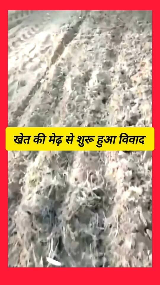 खेत की मेढ़ जिससे हुआ विवाद शुरू.............