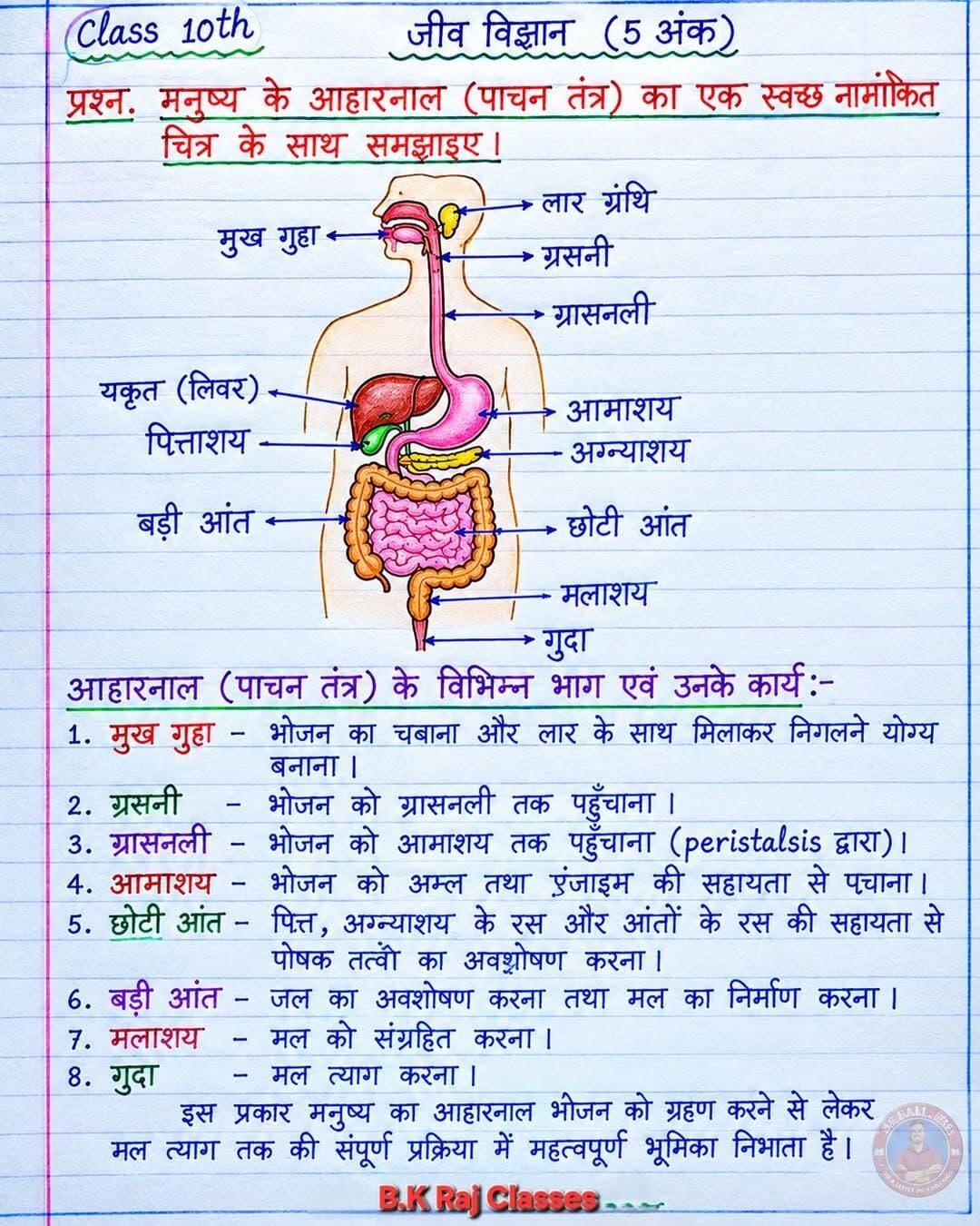 Class 10 science all lesson notes available h.. <nis:link nis:type=tag nis:id=bkrajclasses nis:value=bkrajclasses nis:enabled=true nis:link/>