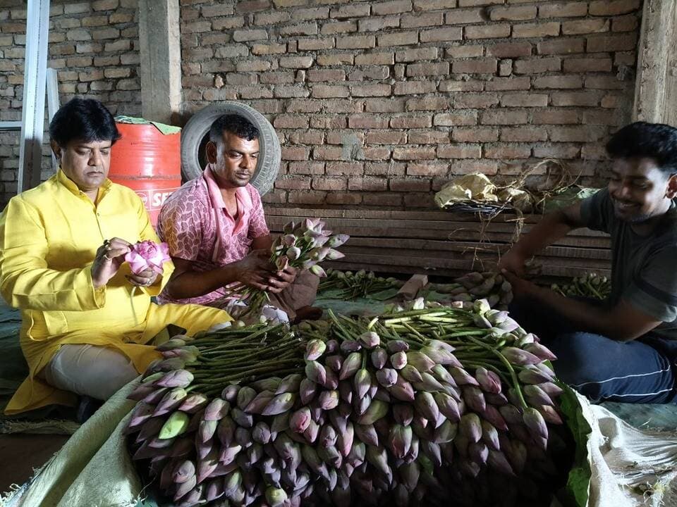 দেবু সিংহ মালদাঃ দুর্গাপূজার জন্য পাঁচ লক্ষ পদ্ম মজুত হিমঘরে