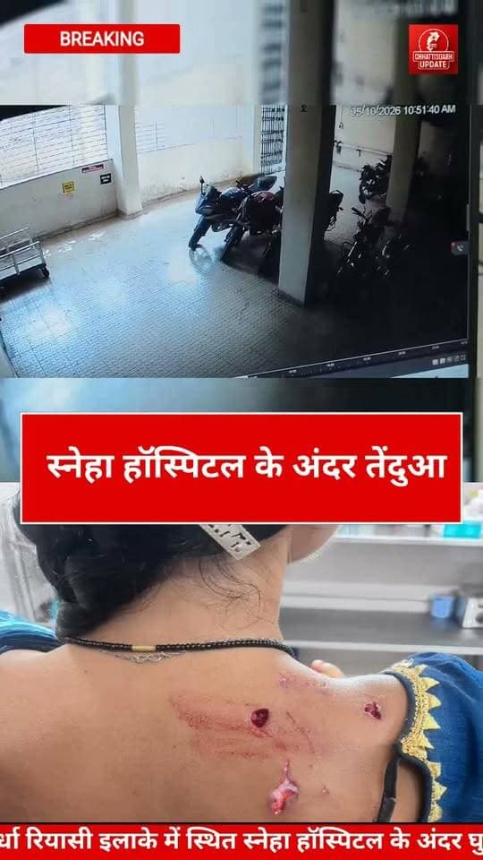 कवर्धा शहर में स्थित स्नेहा हॉस्पिटल के अंदर घुसा तेंदुआ महिला पर किया हमला,, #chhattisgsrhupdate #CGNews #कवर्धा #कबीरधाम #leopard