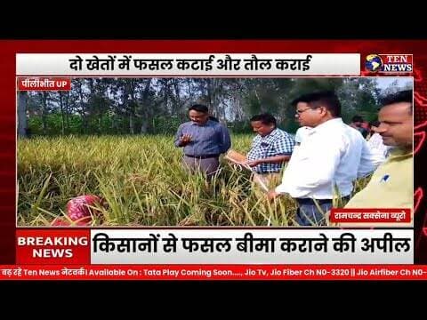 DM पीलीभीत ने सैदपुर में धान क्रॉप कटिंग जांची,क्रॉप कटिंग से धान की उत्पादकता परखी #upgovt