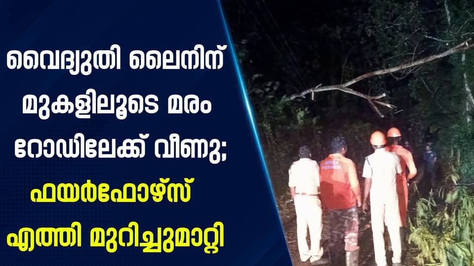 വൈദ്യുതി ലൈനിന് മുകളിലൂടെ മരം റോഡിലേക്ക് വീണു; ഫയർഫോഴ്സ് എത്തി മുറിച്ചുമാറ്റി|PRIME NEWS KERALA