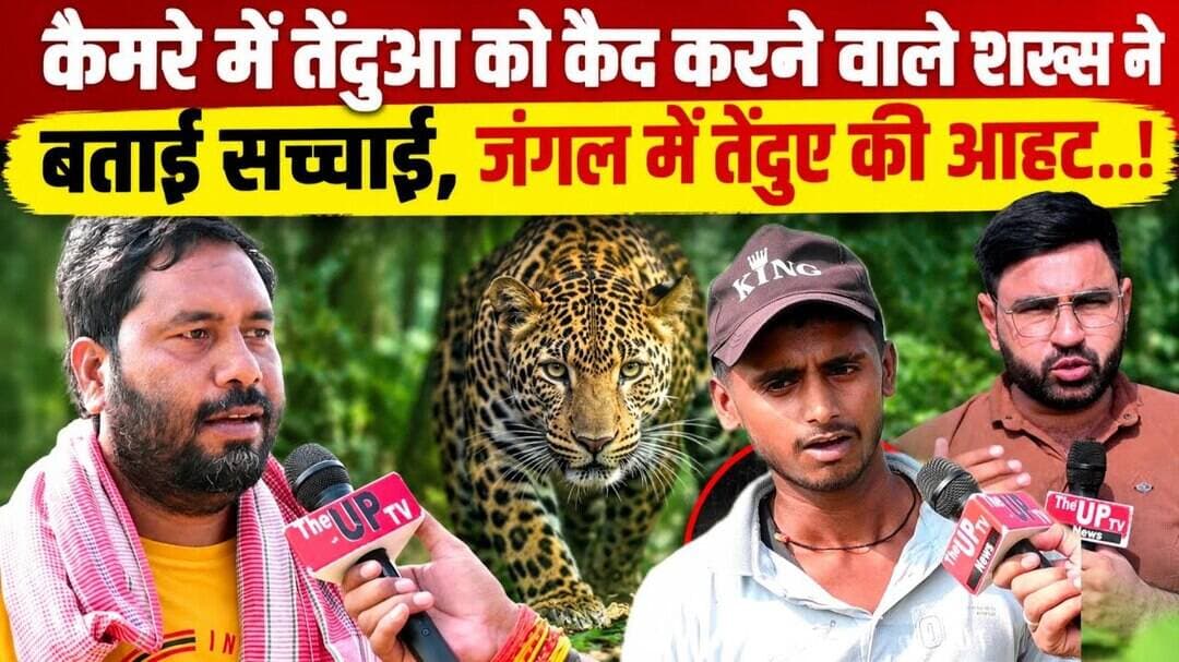 कैमरे में तेंदुआ को कैद करने वाले शख्स ने बताई सच्चाई,जंगल में तेंदुए की आहट..! Leopard News