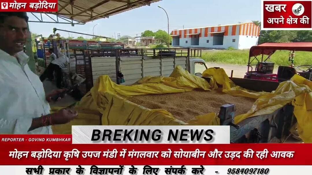 मोहन बड़ोदिया कृषि उपज मंडी में मंगलवार को सोयाबीन और उड़द की रही आवक