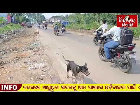 ଜିନ୍ଦାବାଦ ନିଆଳିର ମହାପ୍ରଭାବ
