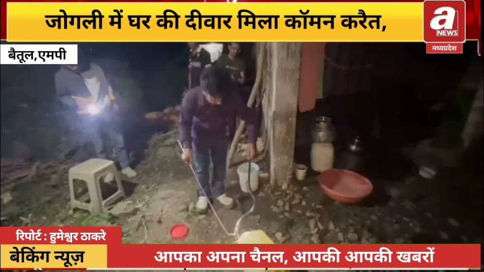 जोगली में घर की दीवार के पास मिला खतरनाक कॉमन करैत, सर्पमित्र ने किया रेस्क्यू
जोगली निवासी रविंद्र चिमटे के मकान में उस समय हड़कंप मच गया, जब घर की दीवार के किनारे एक खतरनाक कॉमन करैत सांप छिपा हुआ दिखाई दिया। सांप दिखाई देने की सूचना पर सर्पमित्र विशाल विश्वकर्मा मौके पर पहुंचे और सावधानीपूर्वक करैत का रेस्क्यू किया।
