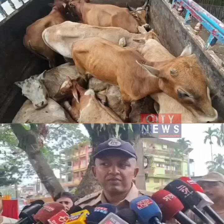 অৱশেষত শিৱসাগৰ আৰক্ষীৰ জালত পৰিল তিনিচুকীয়াৰ কূখ্যাত গো - সৰৱৰাহকাৰী চক্ৰ ৷
অভিযানকাৰী আৰক্ষীক খুণ্ডিয়াই পলায়ন কৰিবলৈ চেষ্টা কৰা কূখ্যাত গৰু সৰৱৰাহকাৰী চক্ৰ আৰক্ষীৰ জালত পৰিল ৷
শিৱসাগৰৰ জেষ্ঠ আৰক্ষী অধীক্ষক পাপৰি চেতিয়াৰ নেতৃত্বত এ এচ পি মইদুল ইছলামৰ পৰিচালনাত নগৰ উপ পৰিদৰ্শক দেৱাশীষ শৰ্মাই চলাইছিল অভিযান৷
আৰক্ষীৰ জালত পৰিল গৰু সৰৱৰাহকাৰী চক্ৰক এচকৰ্ট দি অহা এখন AS 03 T 2388 বগা স্কৰপি'অ বাহন ৷
আৰক্ষীৰ বাধা ওফৰাই পলায়নৰ চেষ্টা চলাওঁতেই আৰক্ষীয়ে স্কৰপি'অ খনৰ পৰা আটক কৰিবলৈ সক্ষম হয় হবিবুৰ ৰহমান, কোষেশ্বৰ মৰাণ, দীপাংকৰ বৰাক ৷
আনহাতে এচকৰ্ট দি অনা চক্ৰটোৰ স্বীকাৰোক্তিৰ ভিত্তিতেই এ এচ ০৩ চি চি ৬৩৯৯ নম্বৰৰ বাহনখন বহু দূৰ খেদি খেদি নগৰৰ খাট পথাৰত আটক কৰিবলৈ সক্ষম হয় ৷
যান-যটৰ সুযোগ লৈ পলায়ন কৰে ১৩ টাকৈ গৰু কঢ়িয়াই অনা বলেৰ পিক আপ বাহনখনৰ চালক হেন্দিমেন