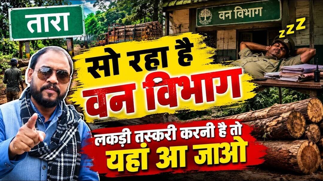 सागौन और साल के बेसकीमती पेड़ काटे जारहे हैं e -Kuber में भिड़ा है अमला, जांच जरूरी #forest #news