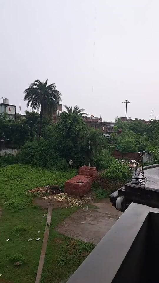 बारिश के इस सुहाने मौसम का आनंद ले रहे हैं? 🌧️☔
बताइए, आपके क्षेत्र में भी झमाझम बारिश हो रही है या मौसम अभी सूखा है?
कमेंट में अपने शहर/गांव का नाम जरूर बताएं। 👇
#बारिश #बारिश_का_मौसम #मौसम_अपडेट #जमुई #7तकन्यूज़ #RainUpdate