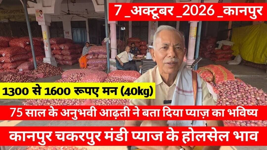 7 October 2026 कानपुर प्याज़ के भावonionreport kanpur #onionmarket kanpur onionmarket price #onion