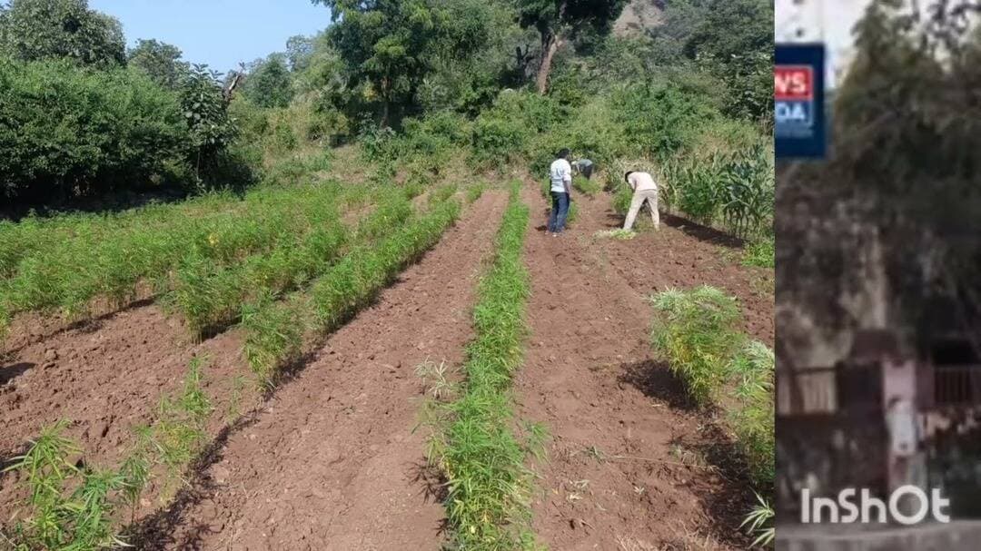 #Udaipur #कोटड़ा के मांडवा पुलिस व जिला डीएसटी टीम की बड़ी कार्यवाही #latestnews #news #police