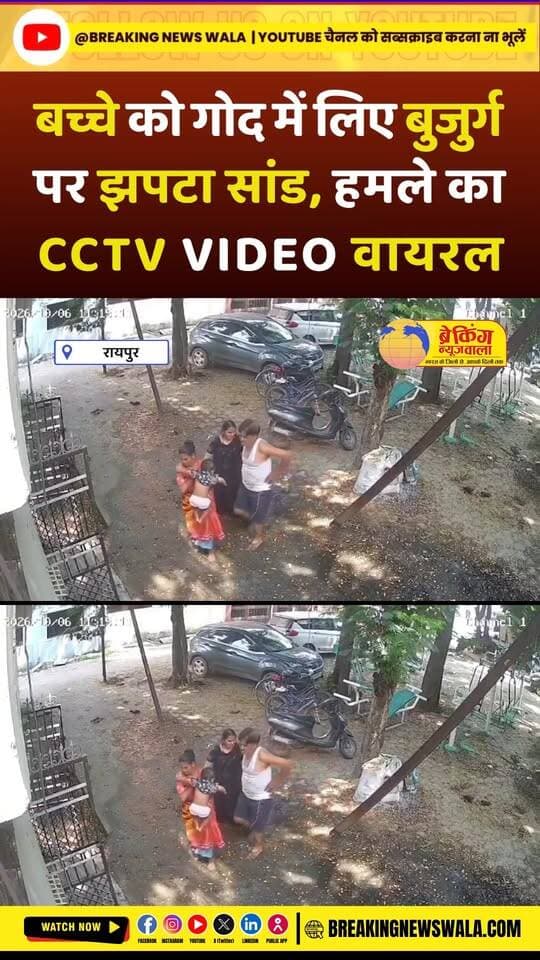 बेकाबू सांड ने मचाया हड़कंप बच्चे को गोद में लिए बुजुर्ग पर किया हमला,वन विभाग ने ट्रैंक्विलाइजर से पकड़ा; देखें! VIDEO.
.
.
.
#सांड #BullAttack #BullRescue #BullViralVideo #ViralVideo #AnimalAttack #WildAnimal #RescueOperation #Tranquilizer #ForestDepartment #ViralNews #BreakingNews #HindiNews #LatestNews #BreakingNewsWala