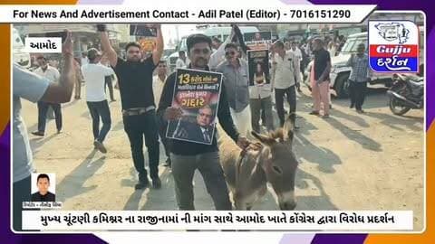 ગધેડા ને સાથે રાખી કોંગ્રેસ દ્વારા મુખ્ય ચૂંટણી ચૂંટણી કમિશ્નર ના રાજીનામા ની માંગ સાથે વિરોધ #bharuch #gujjudarshan #amod #jambusar