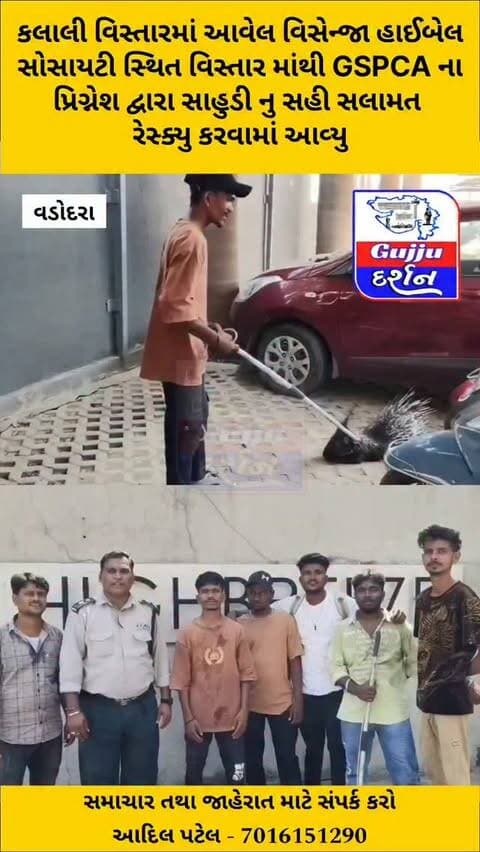 કલાલી વિસ્તારમાં આવેલ વિસેન્જા હાઈબેલ સોસાયટી સ્થિત વિસ્તાર માંથી GSPCA ના પ્રિગ્નેશ દ્વારા સાહુડી નુ સહી સલામત રેસ્ક્યુ કરવામાં આવ્યુ #vadodara #gujjudarshan #rescue #kalali