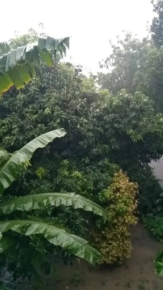 सुबह की शुरुआत झमाझम बारिश 🌨️के साथ... #Dalsinghsarai