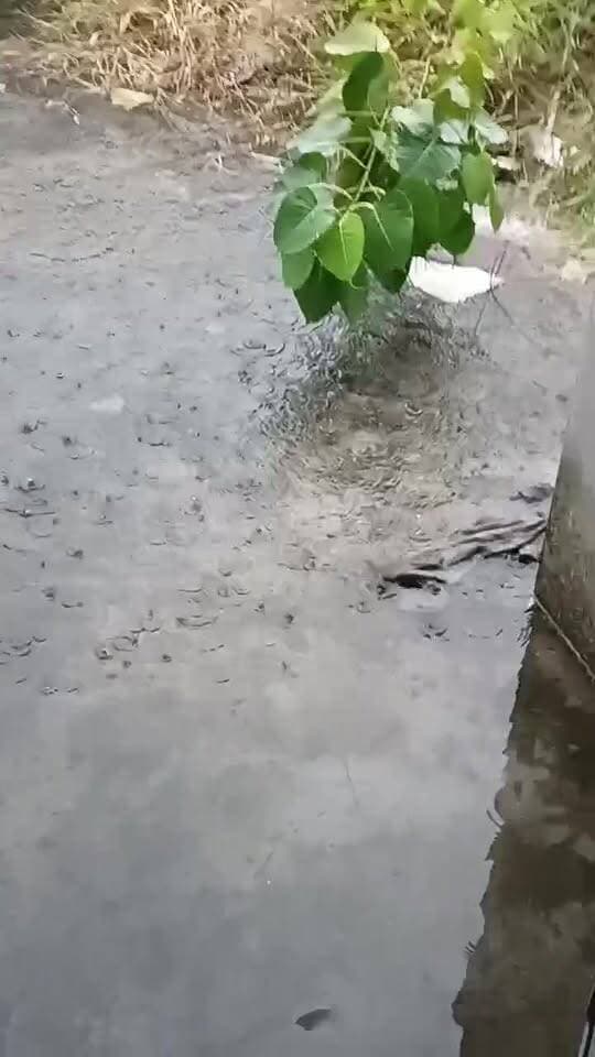 देखिए बारिश को लेकर लाइव आया था..