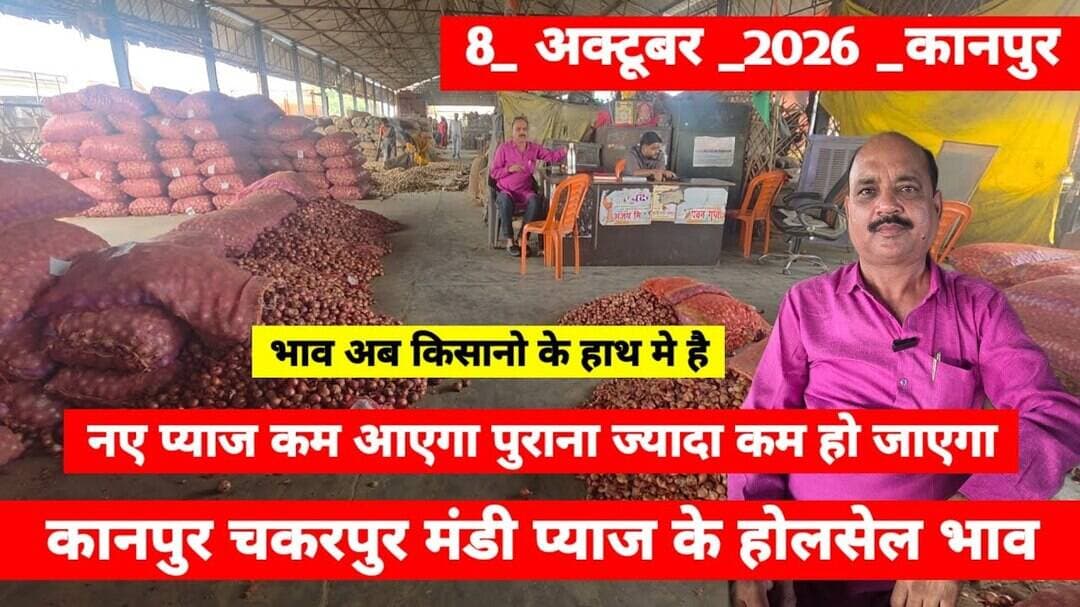 7 October 2026 कानपुर प्याज़ के भावonionreport kanpur #onionmarket kanpur onionmarket price #onion