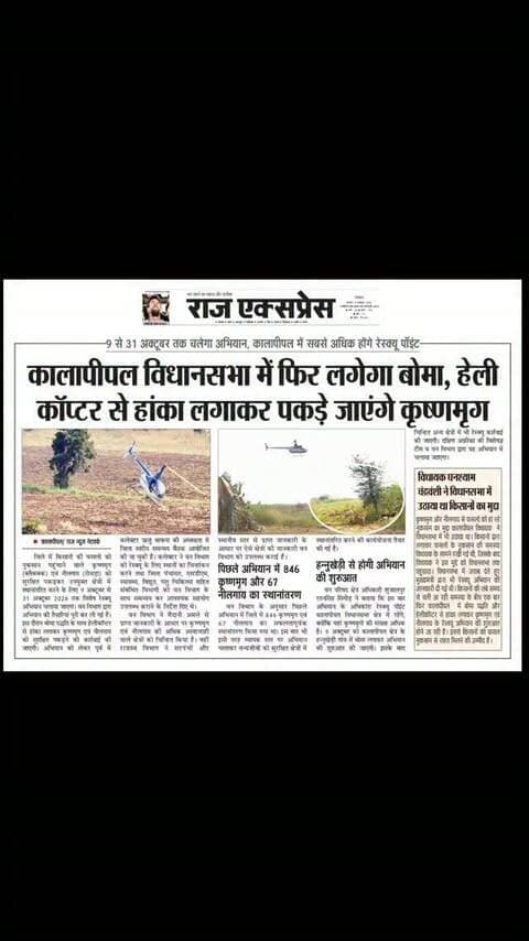 कालापीपल विधानसभा में 9 अक्टूबर से फिर लगेगा बोमा, हेलीकॉप्टर से हांका लगाकर पकड़े जाएंगे कृष्णमृग