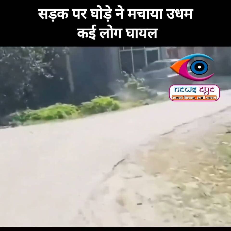 🐎 सड़क पर घोड़े ने मचाया उधम, कई लोग घायल
ऊधम सिंह नगर में एक घोड़ा अचानक बेकाबू होकर तेज रफ्तार में सड़कों पर दौड़ने लगा। घोड़े की चपेट में आने से कई राहगीर और घोड़ा मालिक गिरकर घायल हो गए। घटना के दौरान सड़क पर अफरा-तफरी का माहौल बन गया।
#ऊधमसिंहनगर #Uttarakhand #UttarakhandNews #Horse #RoadAccident #BreakingNews
