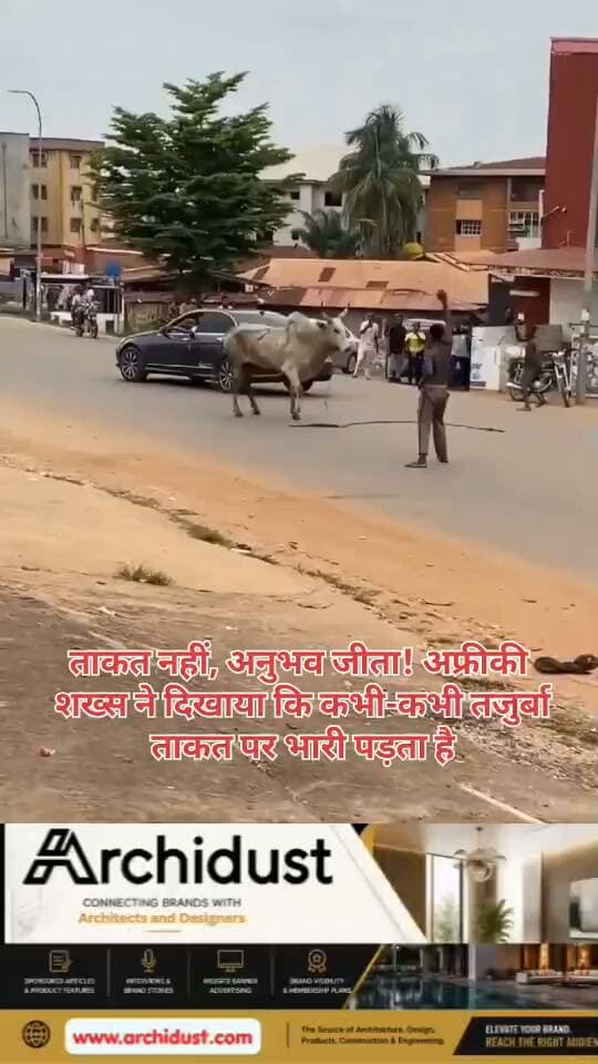 🚨 ताकत नहीं, अनुभव जीता! अफ्रीकी शख्स ने दिखाया कि कभी-कभी तजुर्बा ताकत पर भारी पड़ता है
सोशल मीडिया पर एक वीडियो तेजी से वायरल हो रहा है, जिसमें एक अफ्रीकी शख्स यह साबित कर रहा है कि हमेशा ताकत ही नहीं जीतती — कभी-कभी अनुभव और समझदारी ताकत को भी मात दे देती है।
#ExperienceMatters #StrengthVsSkill #AfricanMan #ViralVideo #LifeLesson #अनुभव_बड़ी_चीज #ताकत_नहीं_अनुभव #BharatNamaNews #Trending #HindiNews #India #Motivation #Inspiration #Wrestling #Technique #OldIsGold #NeverUnderestimate #WatchNow #Viral #SkillOverStrength #Wisdom