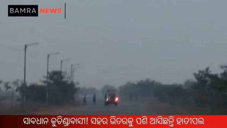 ସାବଧାନ କୁଚିଣ୍ଡାବାସୀ! ସହର ଭିତରକୁ ପଶି ଆସିଛନ୍ତି ହାତୀପଲ
#Kuchinda #ElephantHerd #ElephantInTown #ElephantAlert #ForestDepartment #WildElephants #HumanElephantConflict #KuchindaNews #SambalpurNews #OdishaNews #WildlifeNews #ElephantAlertOdisha #StayAlert #BreakingNews #LocalNews