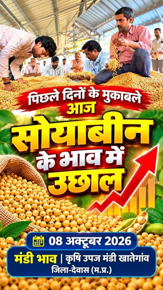 08 अक्टूबर 2026 | मंडी भाव | कृषि उपज मंडी खातेगांव, जिला-देवास (म.प्र.) Khategaon Mandi • मंडी भाव khategaonwaale.com