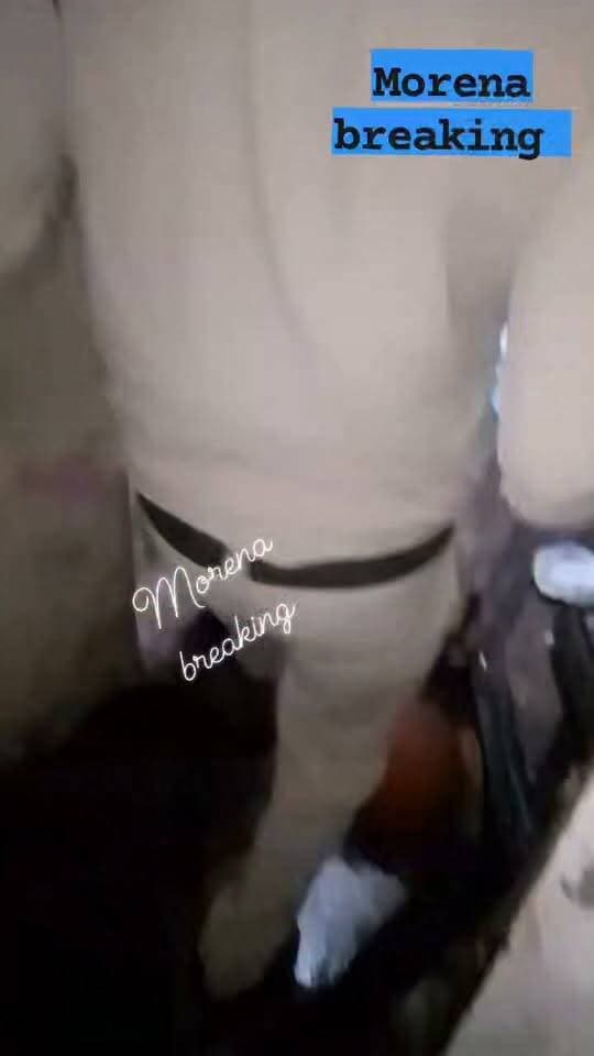 वनखंडी रोड के पास भरे सिलेंडर का ढक्कन खोलते ही लगी भीषण आग, किचन का सामान जला;प्राथमिक उपचार के बाद गंभीर हालत में महिला ग्वालियर रेफर
मुरैना। शहर के बनखंडी रोड से चुंगी नाका रोड के पास स्थित एक मकान में एलपीजी सिलेंडर से अचानक आग भड़क उठने से अफरा-तफरी मच गई। हादसे में घर के किचन का सामान जल गया, वहीं गृहणी गंभीर रूप से झुलस गई है।
मिली जानकारी के अनुसार, घटना विजेंद्र तोमर के मकान की है।बता दे कि विजेंद्र तोमर की पत्नी रसोई में भरे हुए गैस सिलेंडर का ढक्कन खोल रही थीं, तभी अचानक उसमें आग पकड़ ली। देखते ही देखते आग ने विकराल रूप ले लिया और पूरे किचन को अपनी चपेट में ले लिया। हादसे में महिला बुरी तरह झुलस गई।
घटना की सूचना तुरंत डायल 100 को दी गई, जिस पर FRV-04 की टीम तत्परता से मौके पर पहुंची। पुलिस टीम ने सूझबूझ दिखाते हुए सिलेंडर में लगी आग पर काबू पाया।
हादसे के बाद घायल महिला को परिजन और स्थानीय लोगों की मदद से तुरंत जिला अस्पताल ले जाया गया। डॉक्टरों ने बताया कि महिला की स्थिति गंभीर होने के कारण प्राथमिक उपचार के बाद उसे बेहतर इलाज के लिए ग्वालियर रेफर कर दिया गया है।