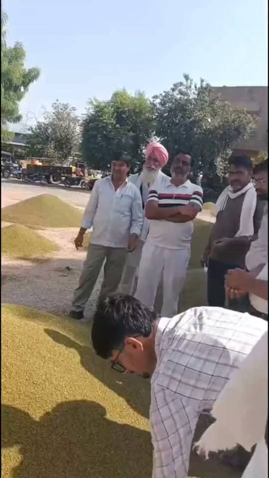 खाजूवाला अनाज मंडी मूंग भाव 08/10/2026
#किसान #खाजूवाला #मूंग #ग्वार #मंडीभाव