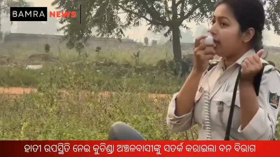 ହାତୀ ଉପସ୍ଥିତି ନେଇ କୁଚିଣ୍ଡା ଅଞ୍ଚଳବାସୀଙ୍କୁ ସତର୍କ କରାଇଲା ବନ ବିଭାଗ