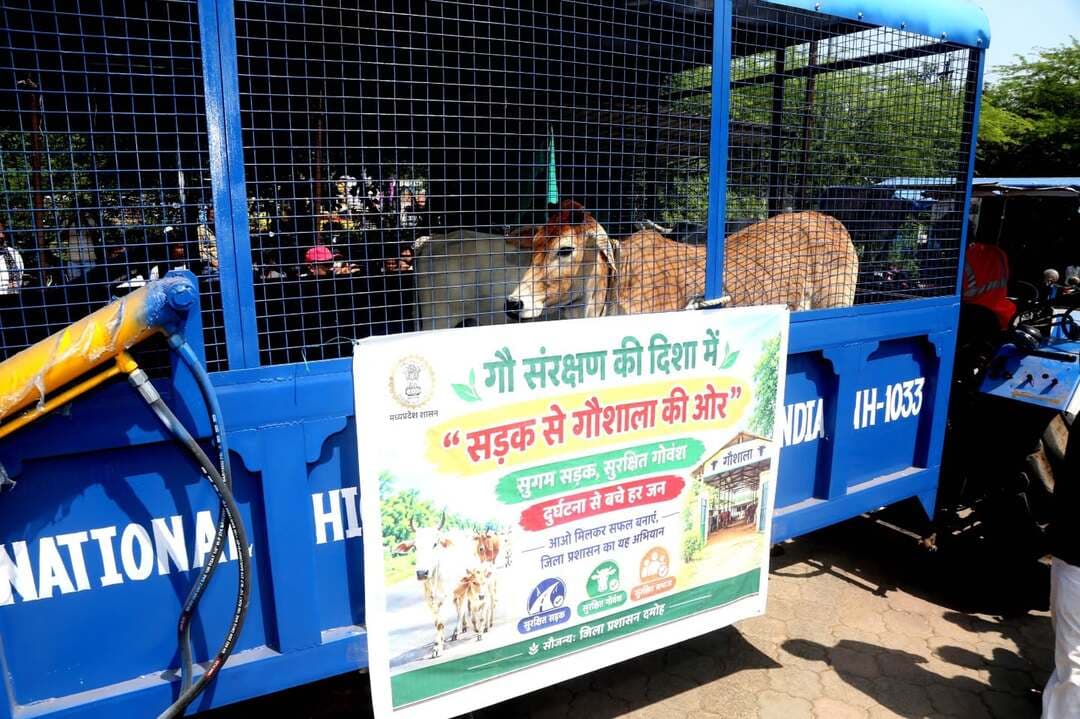 सड़क पर गौवंश के कारण होने वाली दुर्घटनाओं पर लगेगा अंकुश - कलेक्टर श्री यादव
==
गौवंश संरक्षण अभियान को मिली गति, एनएच की नई काउ लिफ्टर वाहन का शुभारंभ
==
सड़क से गौशाला अभियान जारी, निराश्रित गौवंश को सुरक्षित पहुंचाने के लिए बढ़ाई गई व्यवस्था
===
जिले में निराश्रित एवं सड़क पर विचरण करने वाले गौवंश को सुरक्षित रूप से गौशालाओं तक पहुंचाने के लिए संचालित “सड़क से गौशाला” अभियान को अब और गति मिलेगी। अभियान के दौरान वाहनों की उपलब्धता में आ रही समस्या को देखते हुए कलेक्टर प्रताप नारायण यादव के निर्देश पर एनएचआई (नेशलन हाइवे अथॉरटी ऑफ इंडिया) प्रबंधन द्वारा नया काउ लिफ्टर वाहन उपलब्ध कराया गया है। आज वाहन को हरी झंडी दिखाकर अभियान के लिए रवाना किया।
कलेक्टर प्रताप नारायण यादव ने कहा अभियान का उद्देश्य गौवंश को सड़क पर बैठने और दुर्घटनाओं का शिकार होने से बचाना है। सड़क पर गौवंश के मौजूद रहने से आवागमन भी प्रभावित होता है तथा कई बार वाहन दुर्घटनाओं में गौवंश और आमजन दोनों घायल होते हैं। ऐसी घटनाओं पर अंकुश लगाने के लिए निराश्रित गौवंश को सुरक्षित रूप से गौशालाओं तक पहुंचाने का कार्य लगातार जारी रहेगा।
उन्होंने कहा जब तक जिले के सभी निराश्रित गौवंश को सुरक्षित रूप से गौशालाओं तक नहीं पहुंचा दिया जाता, तब तक यह अभियान जारी रहेगा। ग्राम पंचायतों के माध्यम से तथा हांका दलों की सहायता से गौवंश को गौशालाओं तक पहुंचाने का कार्य किया जा रहा है। कलेक्टर ने कहा शहर में विशेष रूप से सांड एवं नंदी जैसे गौवंश को पकड़कर सुरक्षित स्थान तक पहुंचाना कई बार कठिन होता है। ऐसे मामलों में काउ लिफ्टर वाहन की सहायता से गौवंश को सुरक्षित रूप से गौशालाओं तक पहुंचाने का प्रयास किया जा रहा है।
करीब 6 हजार गौवंश पहुंचा गौशालाओं में
श्री यादव ने कहा अभियान के तहत अब तक करीब 6 हजार गौवंश को गौशालाओं में पहुंचाया जा चुका है। अभियान शुरू करने से पहले गौपालकों से अनुरोध किया गया था कि वे अपने गौवंश को अपने परिसर एवं सुरक्षित परिवेश में रखें।
कलेक्टर प्रताप नारायण यादव ने जिले के सभी गौपालकों से अपील करते हुए कहा कि वे अपने गौवंश को सुरक्षित रूप से अपने परिसर में रखें। यदि किसी कारणवश गौवंश को रखना संभव नहीं है तो उसे गौशाला पहुंचाएं। गौशाला तक पहुंचाने में असमर्थ होने की स्थिति में प्रशासन द्वारा किए जा रहे प्रयासों में सहयोग करें। उन्होंने कहा गौवंश की सुरक्षा केवल प्रशासन की जिम्मेदारी नहीं, बल्कि समाज के प्रत्येक व्यक्ति की सामूहिक जिम्मेदारी है।
समाजसेवी भाव सिंह लोधी (मासाब) ने कहा गौ-संरक्षण केवल प्रशासन की जिम्मेदारी नहीं, बल्कि समाज की भी महत्वपूर्ण जिम्मेदारी है। उन्होंने जनता-जनार्दन से अपील की कि अपने मवेशियों को सुरक्षित रूप से बांधकर रखें और उनके चारा-पानी एवं स्वास्थ्य का विशेष ध्यान रखें।
उन्होंने कहा गौमाता भारतीय संस्कृति और गौ-आधारित जीवन पद्धति का महत्वपूर्ण आधार है। गाय का दूध स्वास्थ्य के लिए अत्यंत लाभकारी है तथा पशुपालन लाभ का व्यवसाय भी है। उन्होंने कहा प्रशासन के प्रयासों के साथ जनभागीदारी जुड़ने से जिले में गौ-संरक्षण का अभियान और अधिक प्रभावी होगा।
संजय यादव ने कहा कलेक्टर एवं पुलिस अधीक्षक महोदय द्वारा गौवंश को सड़क दुर्घटनाओं से बचाने के लिए हरी झंडी दिखाकर शुरू किया गया अभियान सराहनीय एवं बधाई के पात्र है। उन्होंने सभी गौपालकों से आग्रह किया कि वे अपने गौवंश को सड़कों पर खुला न छोड़ें और प्रशासन की इस मुहिम में सहयोग करें, ताकि आए दिन होने वाली सड़क दुर्घटनाओं को रोका जा सके।
लाल चंद राय ने कहा शांति समिति की बैठक के उपरांत सड़कों पर बैठे गोवंश को संरक्षित करने के उद्देश्य से वाहन को हरी झंडी दिखाकर गोवंश की रक्षा का संकल्प लिया गया। उन्होने इसे गोवंश की सुरक्षा की दिशा में शासन एवं जिला प्रशासन की सराहनीय पहल बताया।
उन्होंने जिलेवासियों से गोवंश की रक्षा एवं सुरक्षा में सहयोग करने की अपील की। साथ ही सुझाव दिया कि सड़कों पर बैठे गोवंश के सींगों पर रेडियम पट्टी लगाई जाए, जिससे रात के समय वाहन चालकों को दूर से ही पशुओं की उपस्थिति का संकेत मिल सके। इससे वाहन चालकों और गोवंश, दोनों की सुरक्षा सुनिश्चित करने में मदद मिलेगी