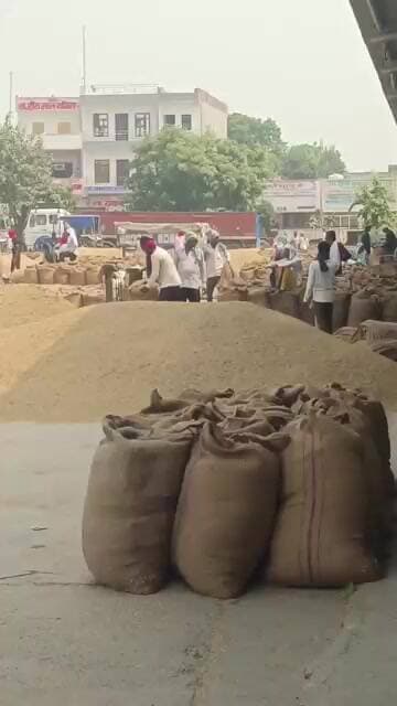 सोनीपत मंडी में धान की आवक तेज, किसानों की सुविधा के लिए प्रशासन अलर्ट