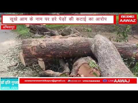 Aawaz@चार पेड़ों की अनुमति, मौके पर 15 से ज्यादा पेड़ों की कटाई!