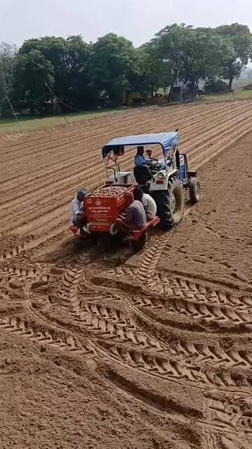 किसानों ने बारिश का खौफ निकला आलू की बुवाई करना किया शुरू #farming