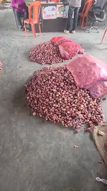 प्याज़ के भाव हुए स्थिर अब किसान भाई आंखे बंद करके बेचते रहे प्याज़ इस भाव में #pyajbhav #onionrate