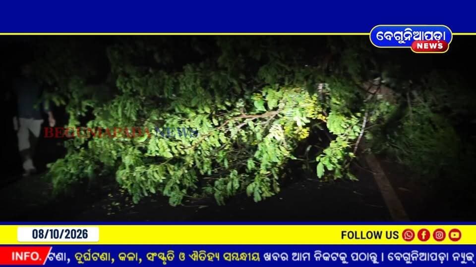 ବେଗୁନିଆପଡ଼ାରେ ପ୍ରବଳ ଝଡ଼ପବନ ସହ ବର୍ଷା... ରାସ୍ତାରେ ଭାଙ୍ଗିପଡ଼ିଲା ବଡ଼ ବଡ଼ ଗଛ, ଯାତାୟାତ ସମ୍ପୂର୍ଣ୍ଣ ଠପ୍ | Beguniapada News