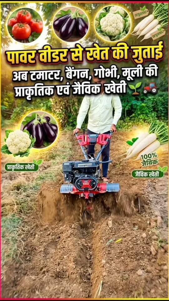 पावर वीडर से खेत की जुताई करके टमाटर, बैंगन, गोभी, मूली आदि सब्जियों की खेती की तैयारी। 🌱🚜
प्राकृतिक एवं जैविक विधि से स्वस्थ फसल की ओर कदम। 🌿
#प्राकृतिकखेती #जैविकखेती #सब्जीखेती #देसीबीज #किसान