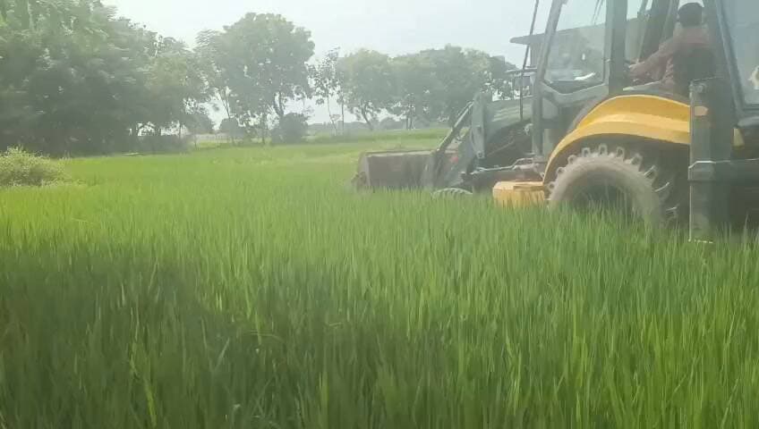 🚜 खड़ी फसल पर चला बुलडोजर, सरकारी जमीन हुई कब्जामुक्त!
सलेमपुर के भीखम छपरा गांव में बड़ी प्रशासनिक कार्रवाई
रामेश्वर तिवारी की मौत के बाद परिजनों ने सरकारी भूमि पर अवैध कब्जे और जबरन खेती किए जाने का आरोप लगाते हुए प्रशासन से कार्रवाई की मांग की थी।
शिकायत के बाद प्रशासन ने कार्रवाई करते हुए सरकारी भूमि को कब्जामुक्त कराया। इस दौरान खेत में खड़ी धान की फसल को बुलडोजर चलाकर नष्ट करा दिया गया।
कार्रवाई के बाद गांव में यह मामला चर्चा का विषय बना हुआ है।
#सलेमपुर #देवरिया #रामेश्वरतिवारी #सरकारीभूमि #अतिक्रमण #बुलडोजरकार्रवाई #प्रशासन #Salempur #Deoria #RameshwarTiwari #GovernmentLand #IllegalEncroachment #BulldozerAction #UttarPradesh #UPNews #LocalNews #BreakingNews
